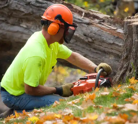 tree services Choudrant